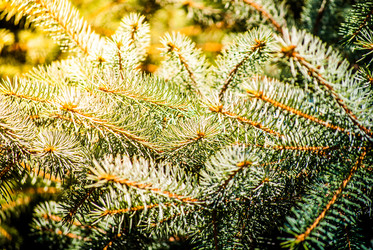 Similar image 7694090