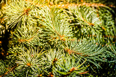 Similar image 7694091