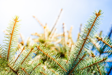 Similar image 7694101