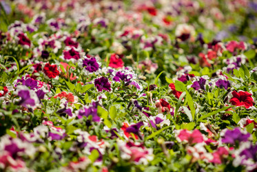 Similar image 7694114