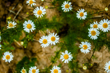 Similar image 7694118