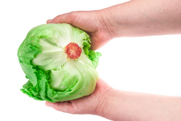 Similar image 7694119