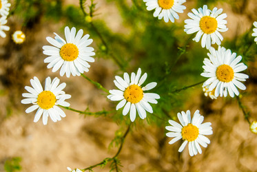 Similar image 7694121