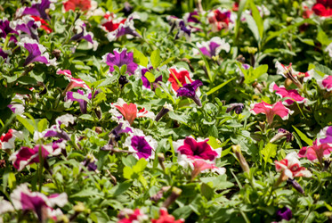 Similar image 7694124