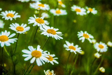 Similar image 7694129