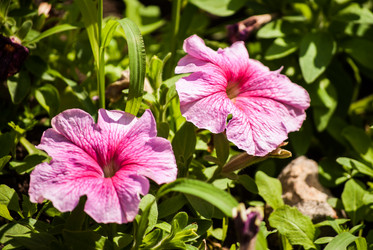 Similar image 7694132