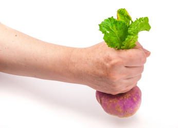 Similar image 7694137