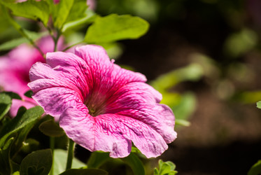 Similar image 7694139