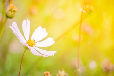 Similar image 7694140