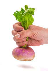 Similar image 7694142