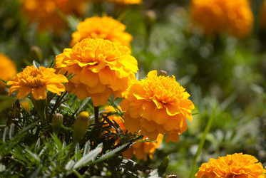 Similar image 7694149