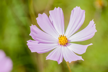 Similar image 7694151