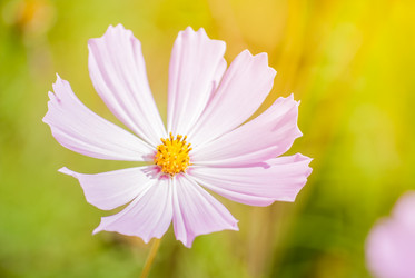 Similar image 7694153