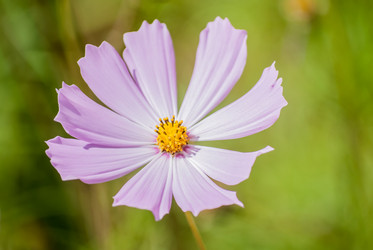 Similar image 7694154