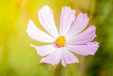 Similar image 7694155