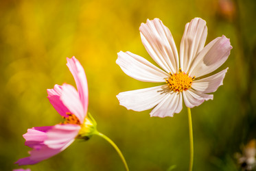 Similar image 7694157