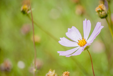 Similar image 7694164