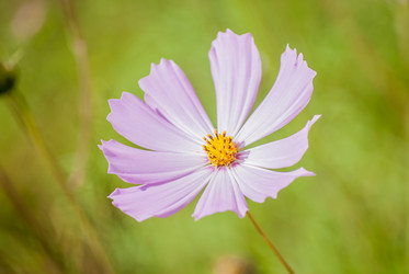 Similar image 7694165