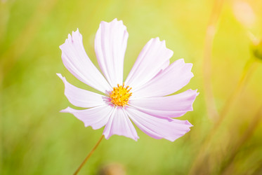 Similar image 7694167