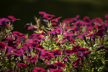 Similar image 7694171