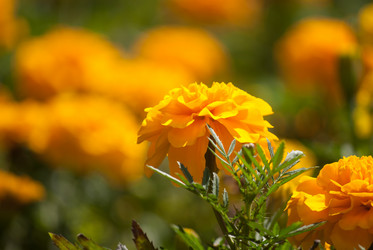 Similar image 7694178