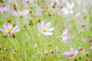 Similar image 7694182