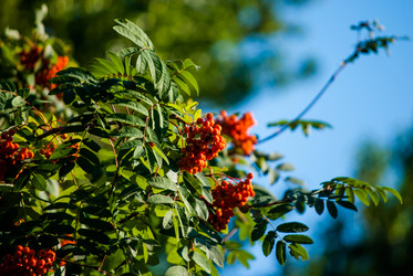 Similar image 7694195