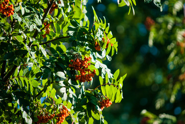 Similar image 7694196