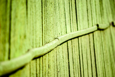 Similar image 7694197