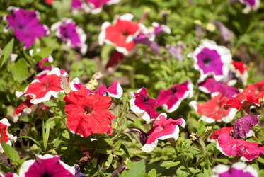 Similar image 7694198