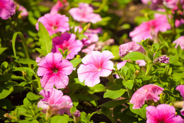 Similar image 7694202