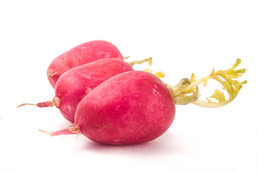 Similar image 7694204