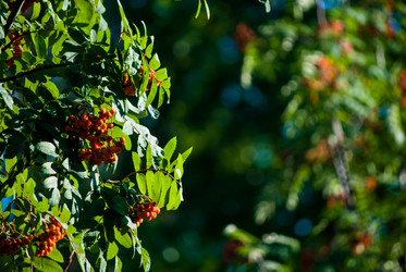 Similar image 7694208