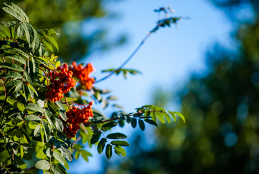 Similar image 7694209