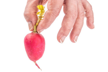 Similar image 7694212