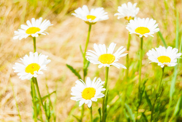 Similar image 7694213