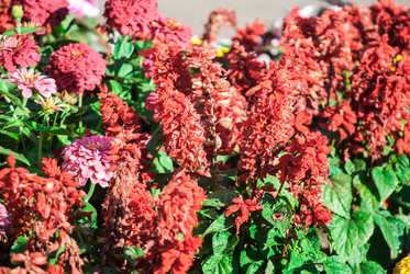 Similar image 7694214