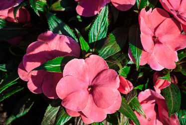 Similar image 7694215