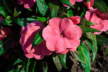 Similar image 7694216