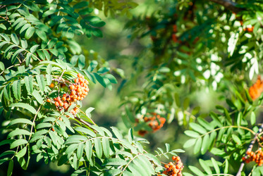 Similar image 7694218