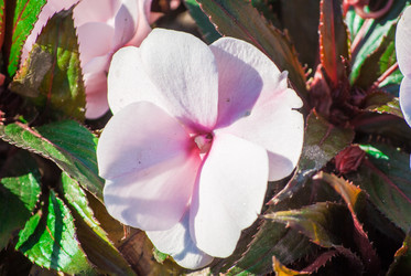 Similar image 7694219