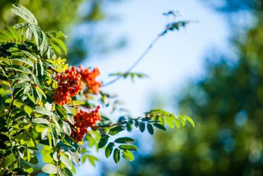 Similar image 7694220