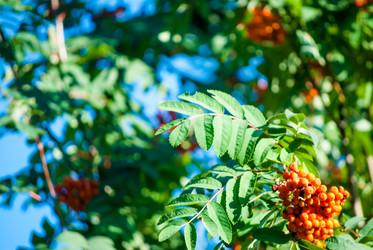 Similar image 7694222