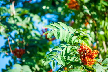 Similar image 7694224