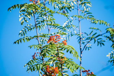 Similar image 7694225