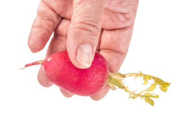 Similar image 7694226