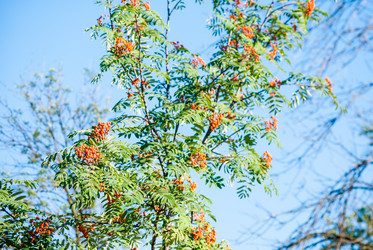 Similar image 7694227