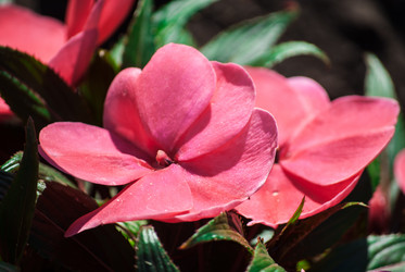 Similar image 7694229