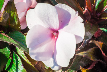 Similar image 7694230