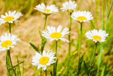 Similar image 7694231